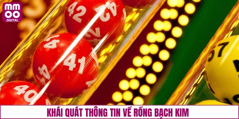 Khái quát thông tin về rồng bạch kim