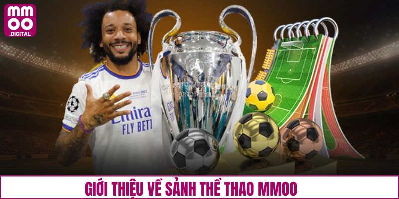Tổng quát cơ bản về sân chơi thể thao tại MMOO