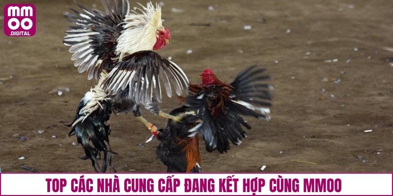 Top các nhà cung cấp đang kết hợp cùng MMOO